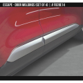 Door Molding Set