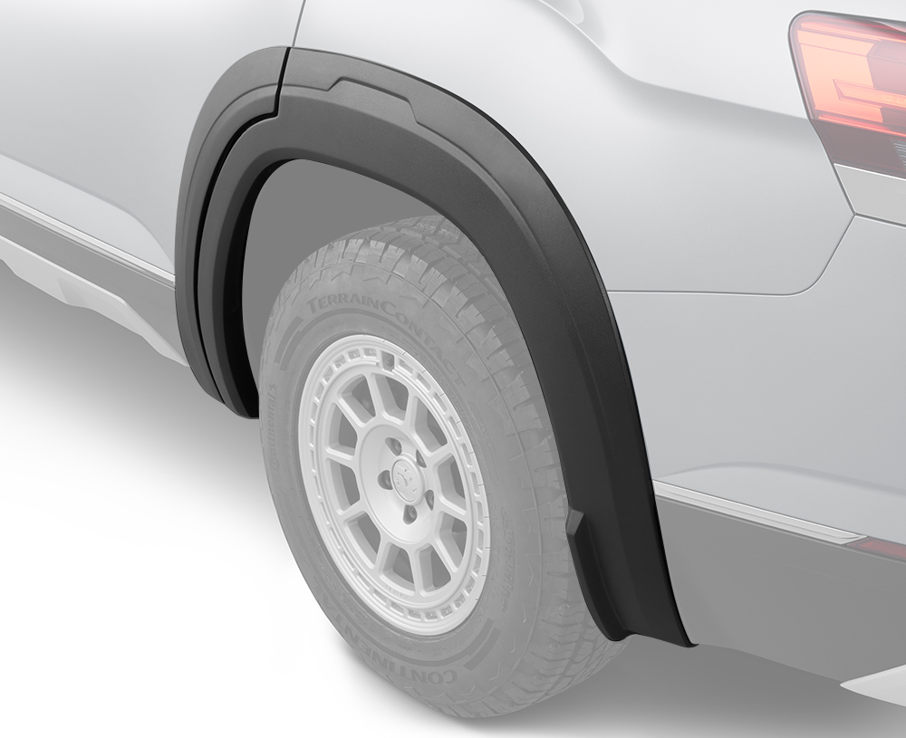 Fender Flare Set (Rear view) highlight